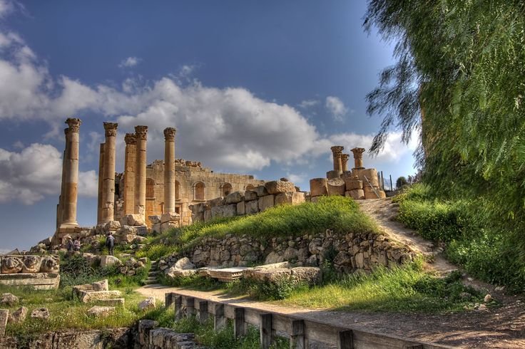 Ajloun Castle & Forest Reserve: Half-Day Tour